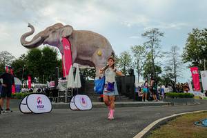 BIB: 
                            <button type="button" onclick="openModal(26528878)" class="btn btn-primary btn-sm float-right btn-popup" data-toggle="modal" data-target=".modal-high-quality">
                        <i class="fas fa-shopping-cart"></i> Add to Cart
                    </button>
                                            <button type="button" onclick="isThisMe(26528878, true)" class="btn btn-success btn-sm float-right btn-popup btn-isme hidden" data-toggle="tooltip" data-placement="bottom" title="นี่คือรูปของคุณใช่ไหม คลิกที่นี่เพื่อเอาเข้าอัลบั้ม">
                        <i class="fas fa-plus"></i> Add to album
                    </button>
                    <button type="button" onclick="isThisMe(26528878, false)" class="btn btn-warning btn-sm float-right btn-popup btn-isnotme hidden">
                        <i class="fas fa-ban"></i> Remove from album
                    </button>